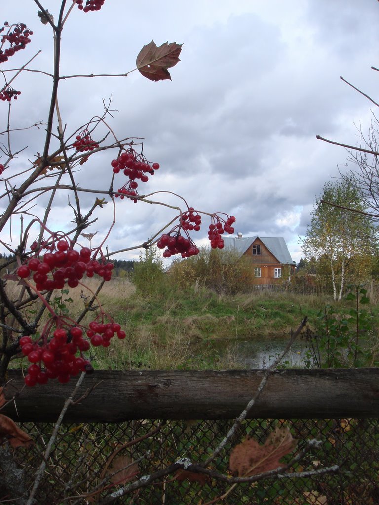 Neighbour at the back, Vysokovo 2009 -2