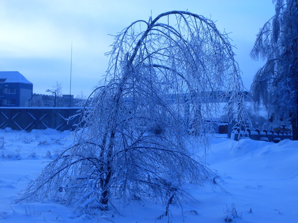 Рядом с АЗС в Колюбакино
