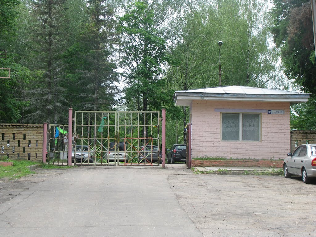 Колюбакино, Сосновая роща