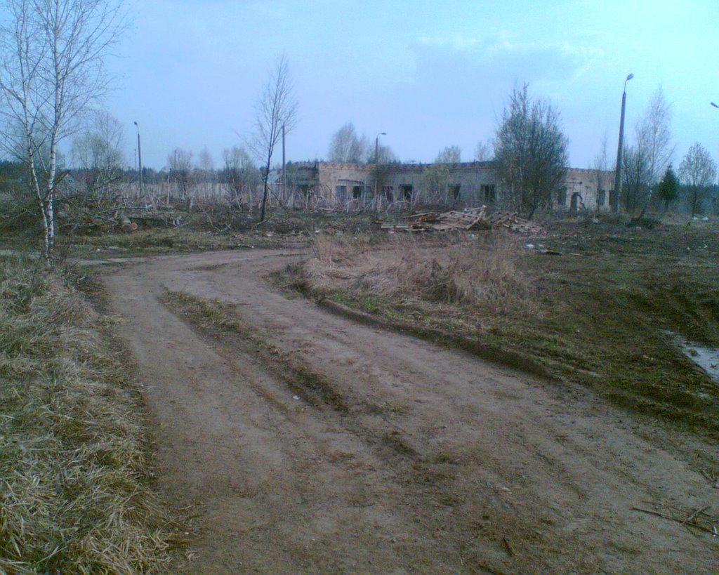 Раньше тут были парники), 04.08