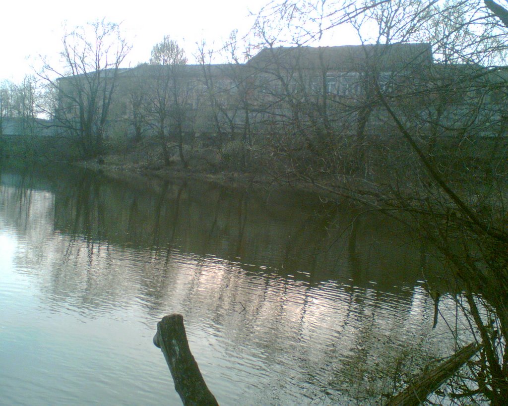 Пруд ЦИК, 04.08
