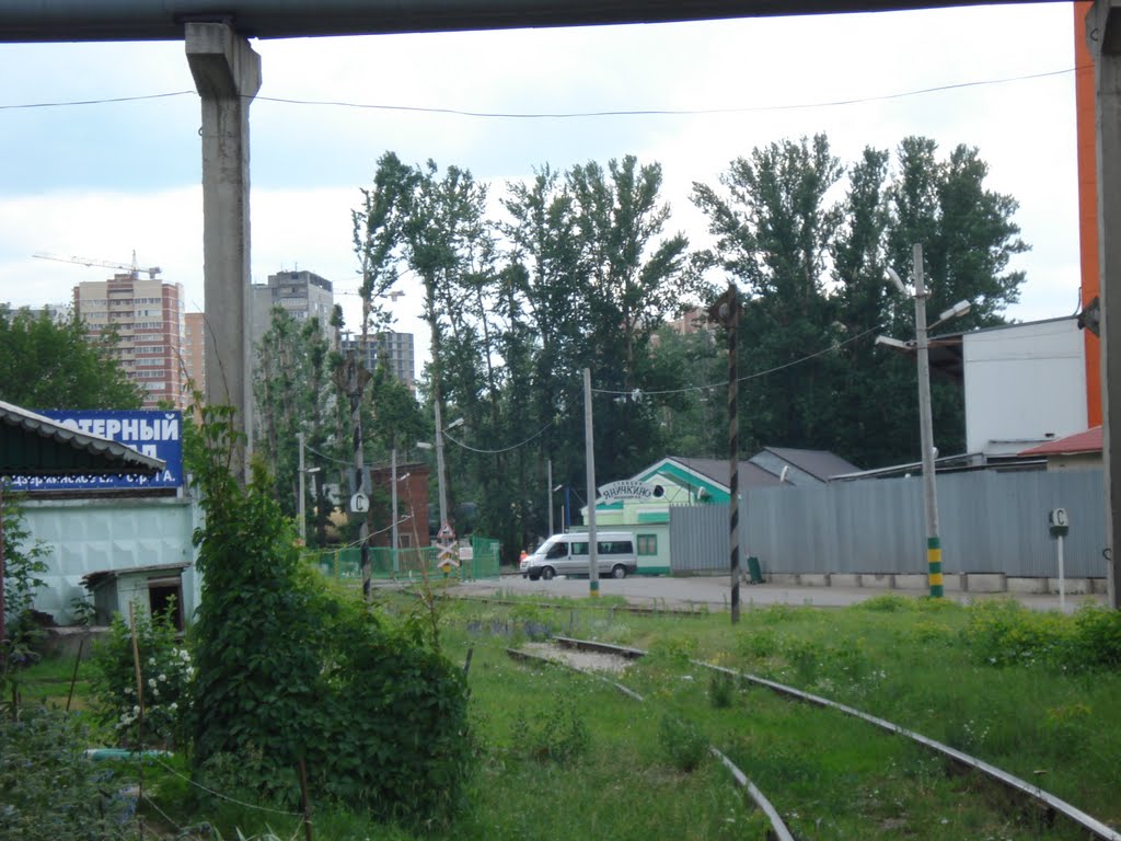 Станция "Яничкино"
