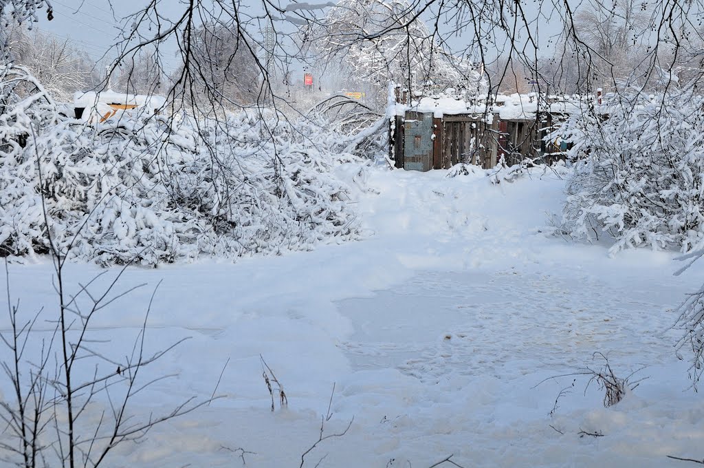 Остатки прудов в усадьбе Красково