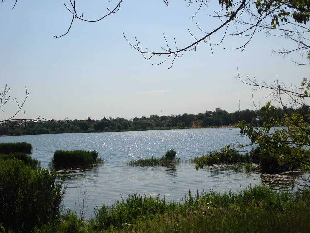 Коренёво 2011