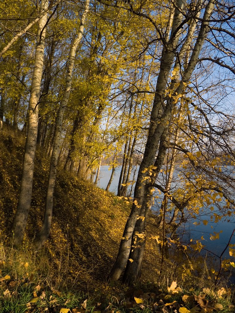 Autumn in Kraskovo