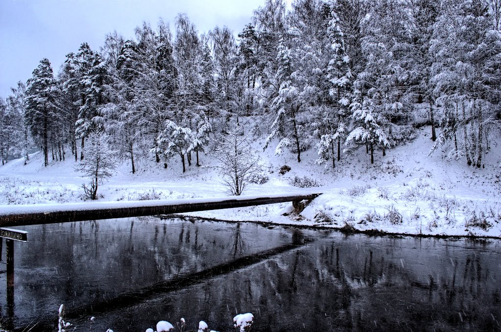 Snowy day
