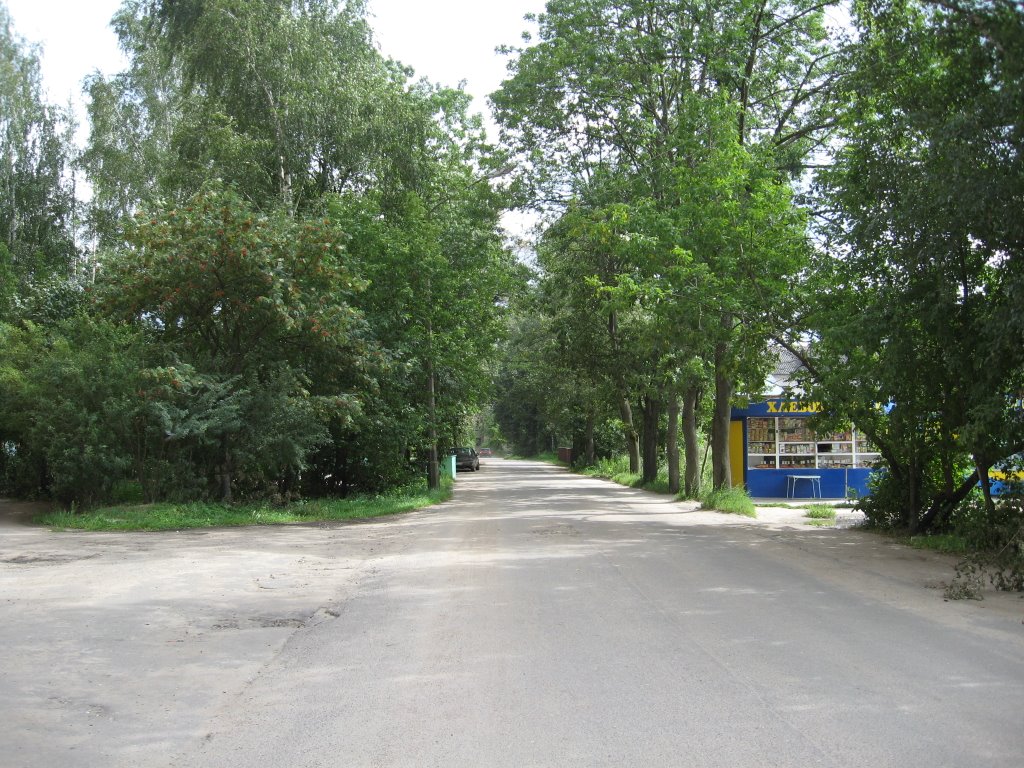 Улица Новая Жизнь