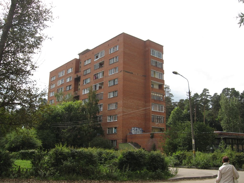 Красный дом