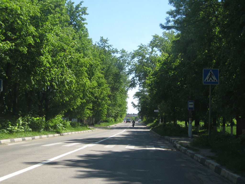 Проспект в деревьях