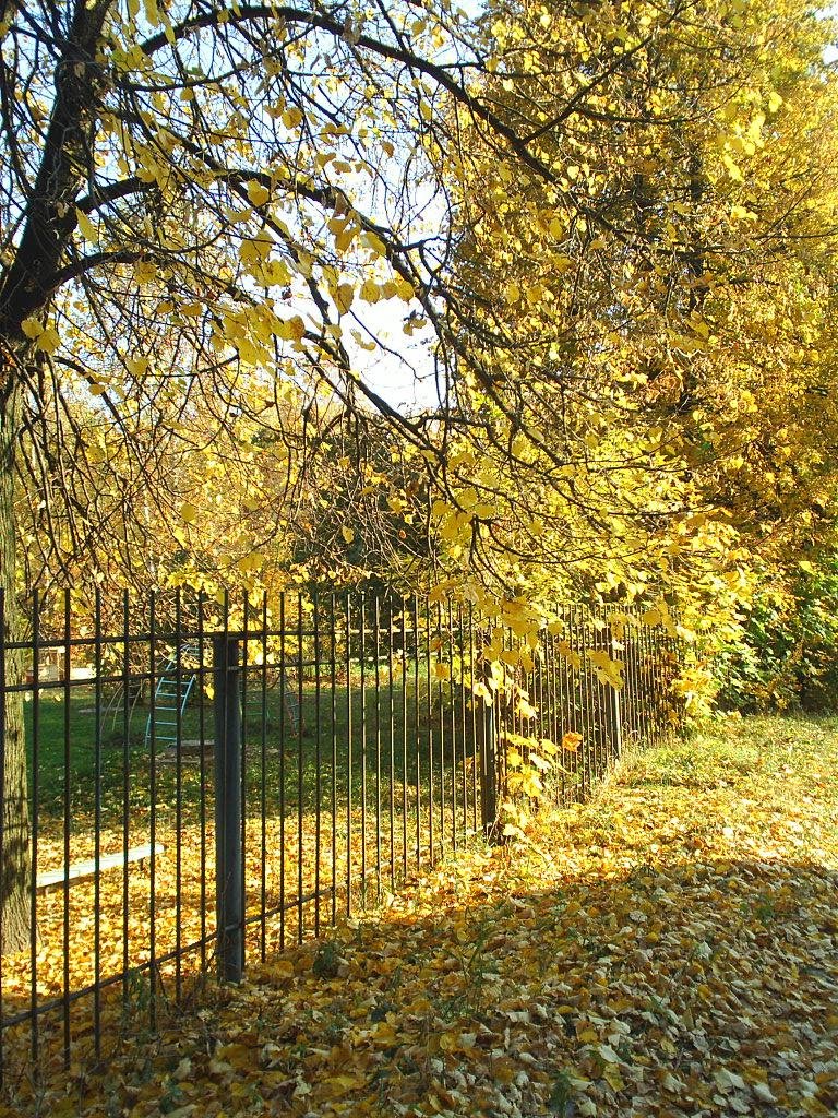Осень 2005 года. Около д/с "Белочка"
