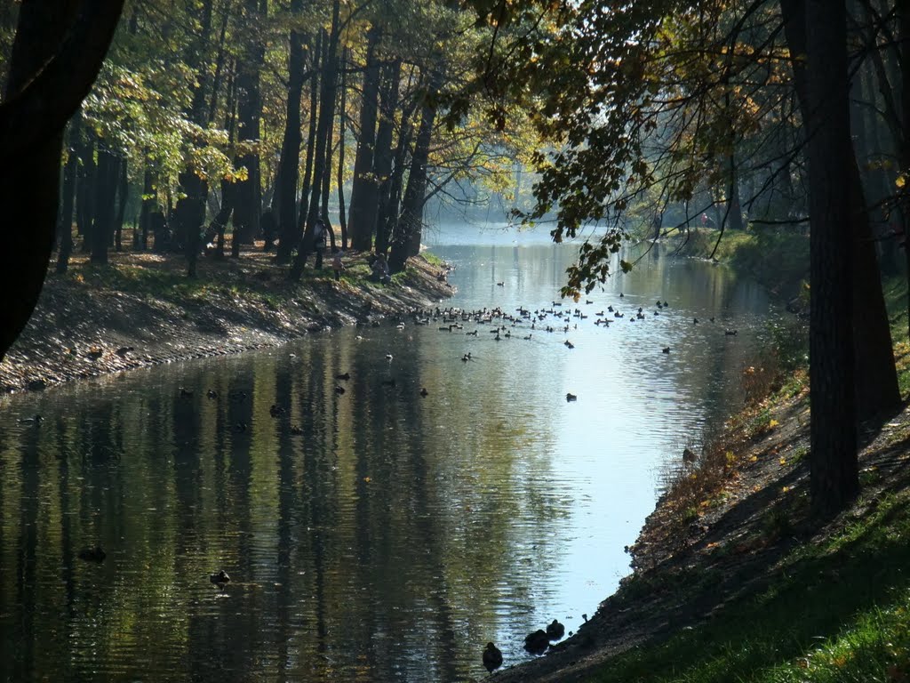 Осень.