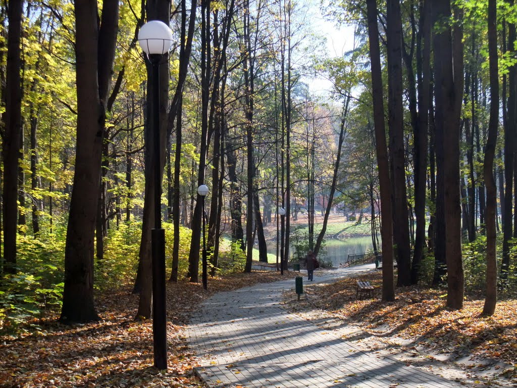 Осенний парк.