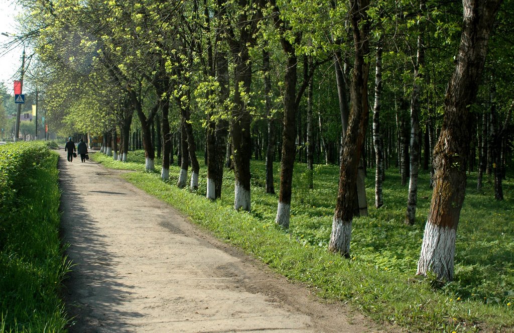 Городская аллея