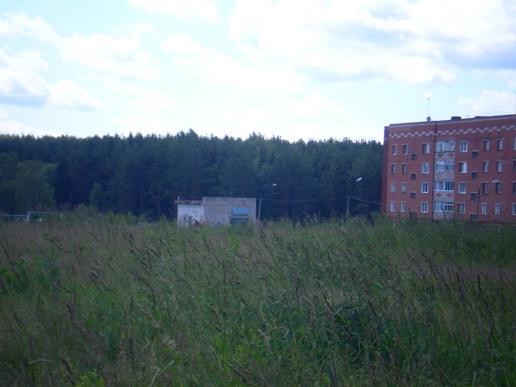 Our Forest