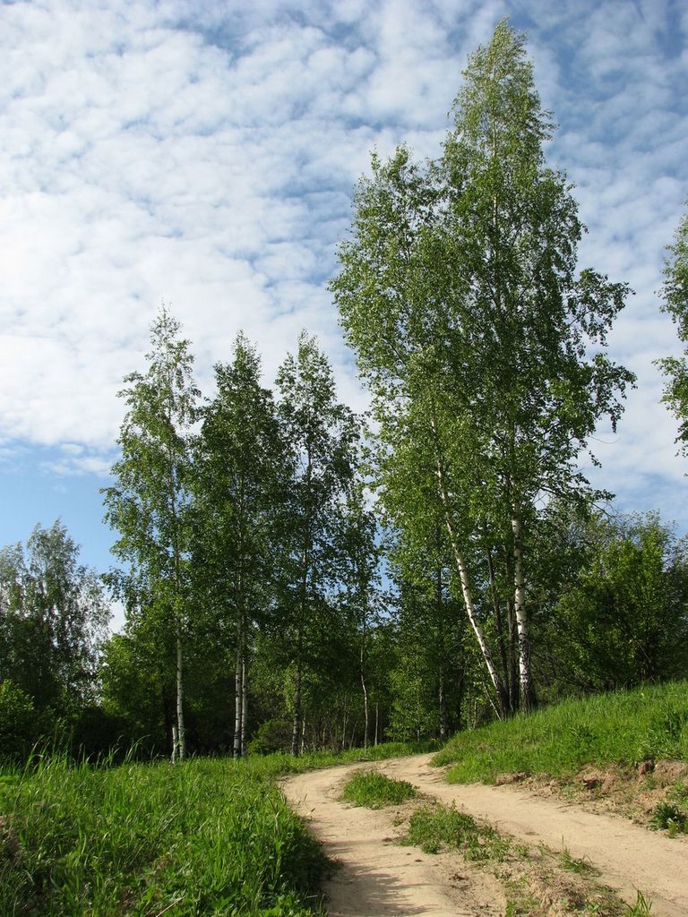 Сельская дорога