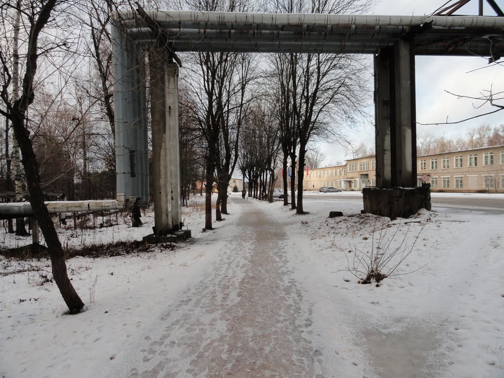 Краснозаводск