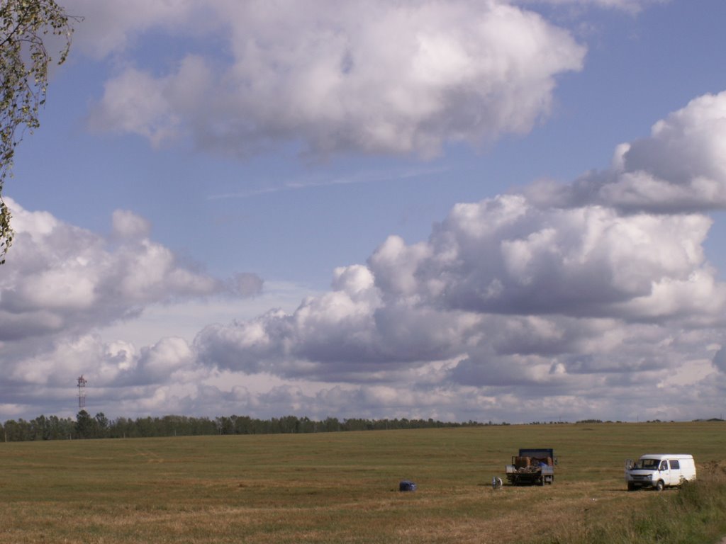Field