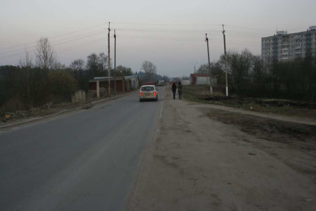 Дорога по окраине Глебовского в Брыково