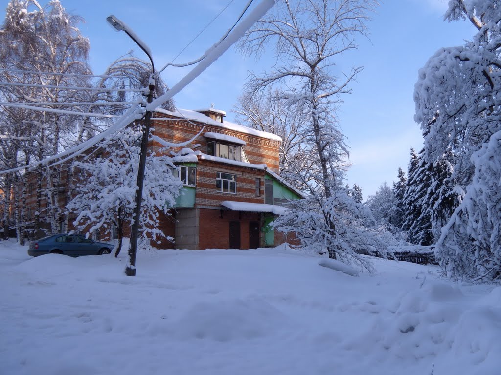 п.Глебовский(25.01.11)