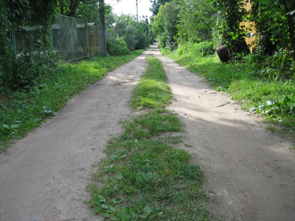 ПЯТАЯ
