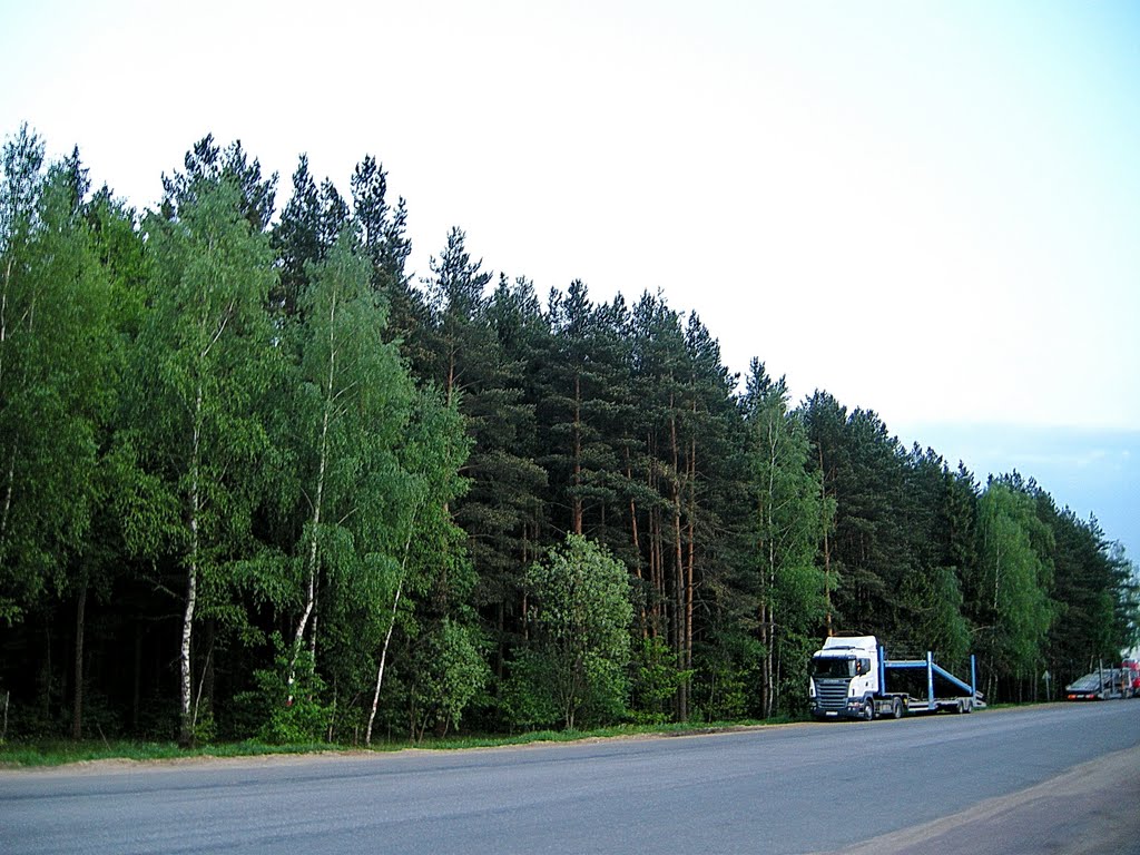 Возле Ложистика