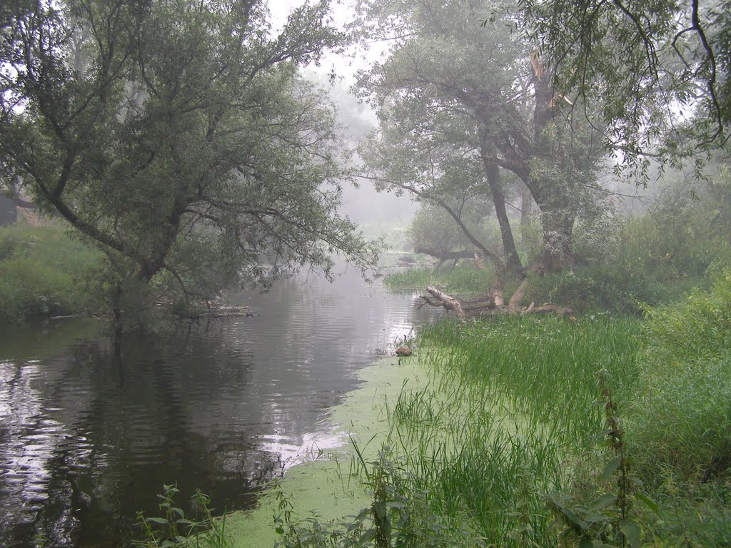 Дым от горящих торфяников над Лопасней летом 2010 г.