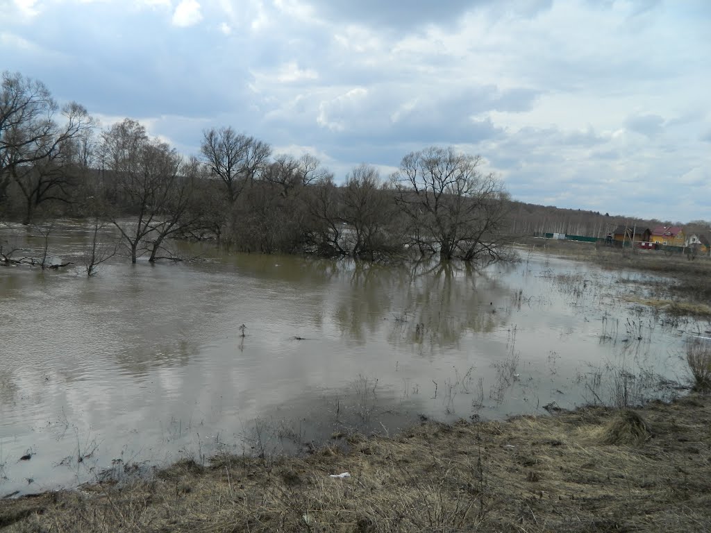 Весенний разлив 2012 г.