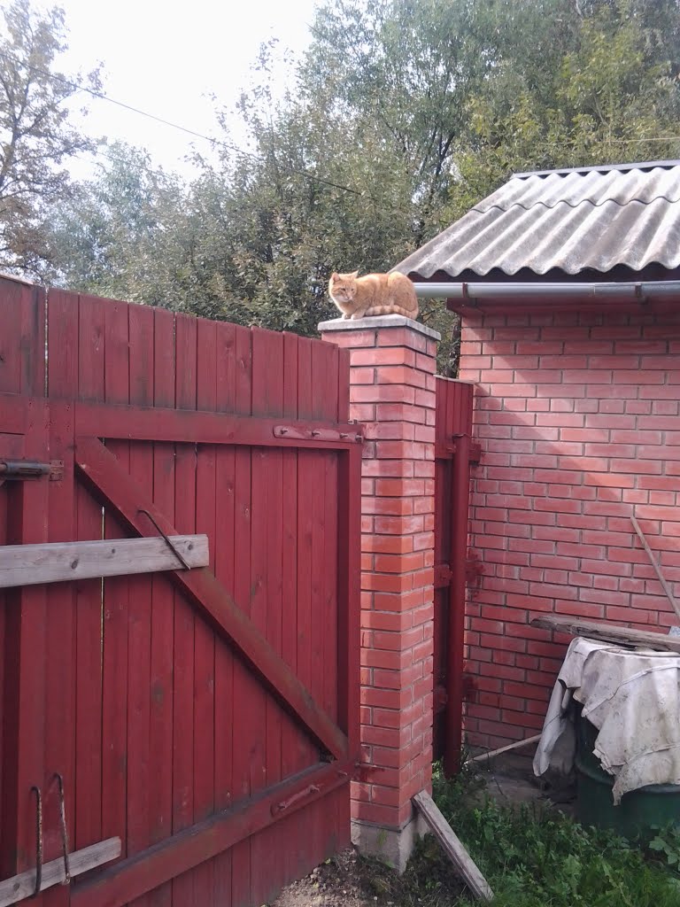 Мурзик