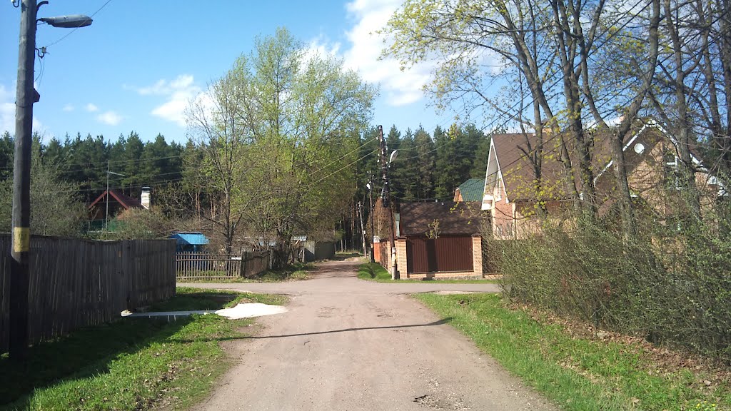 дорожка в лес