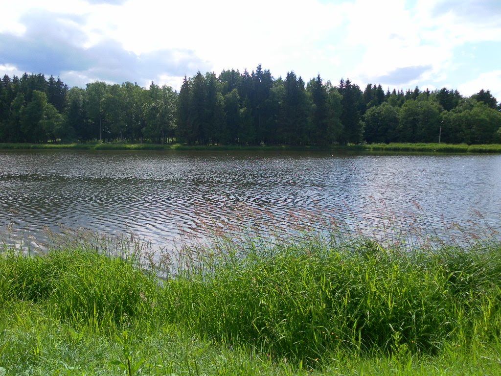 Старый городок пруд