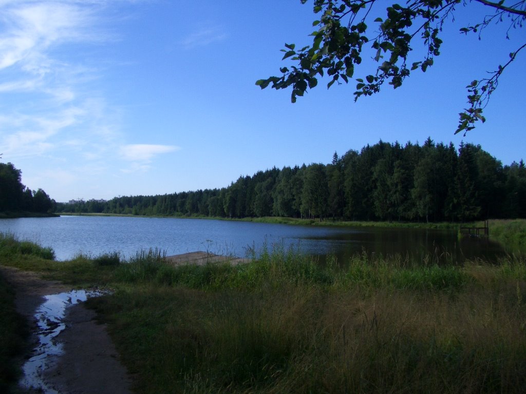 берег озера на Старом городке