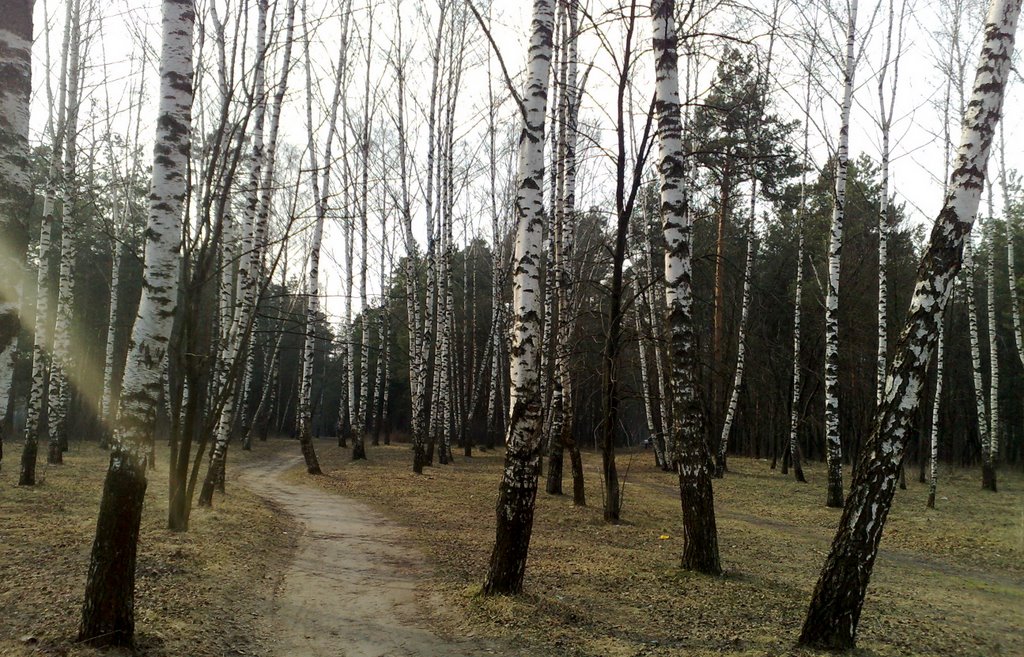за рекой