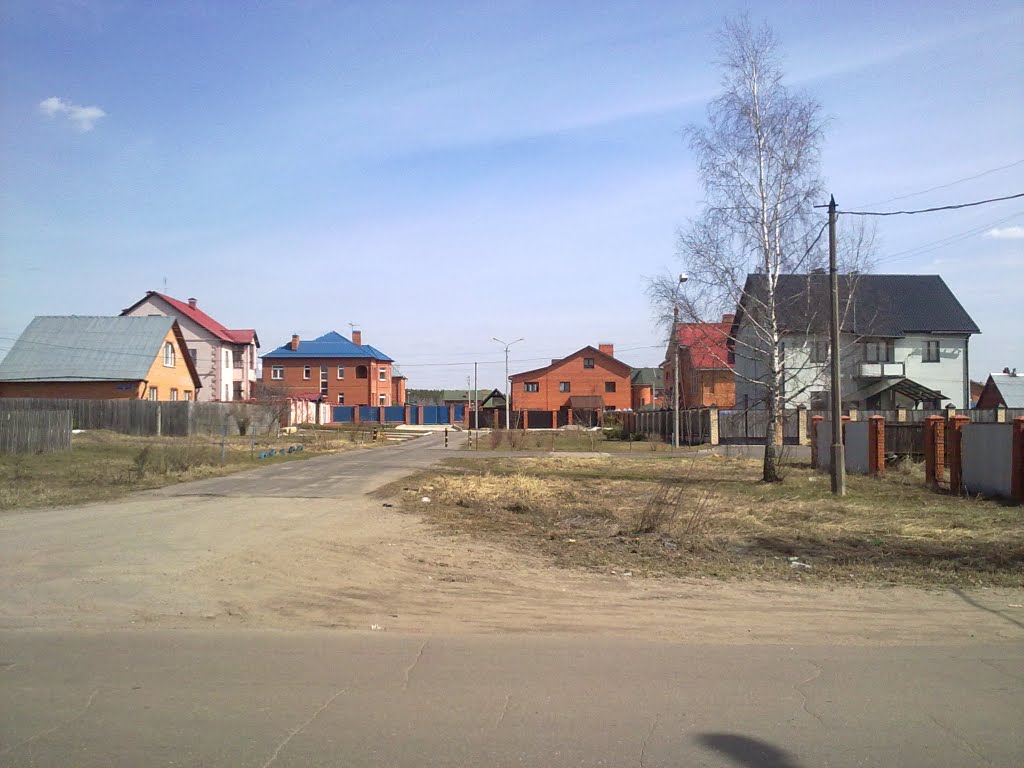 Новый район на севере Купавны