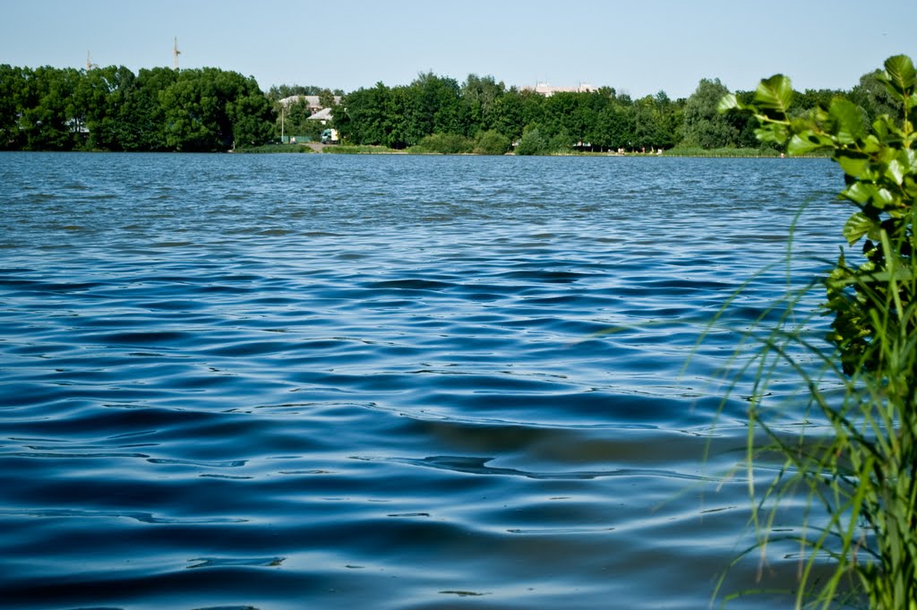 р. Купавинка