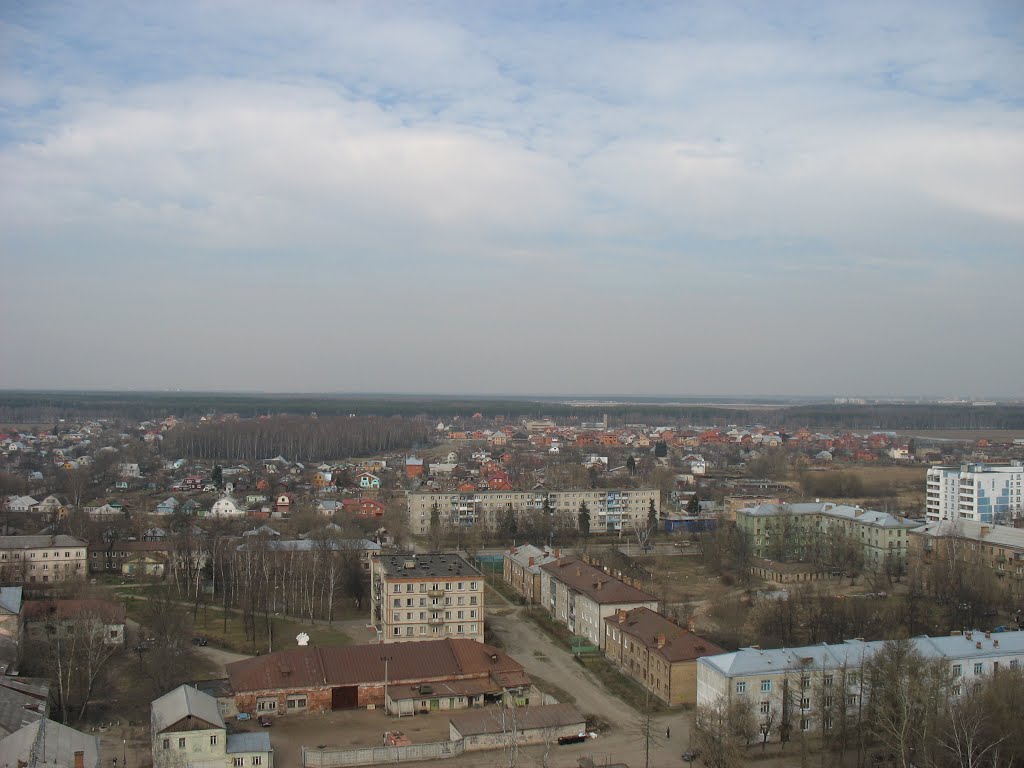 Старая Купавна