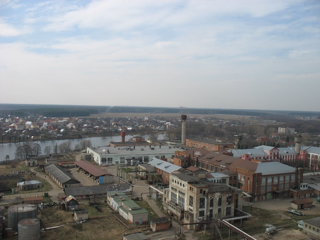 Старая Купавна