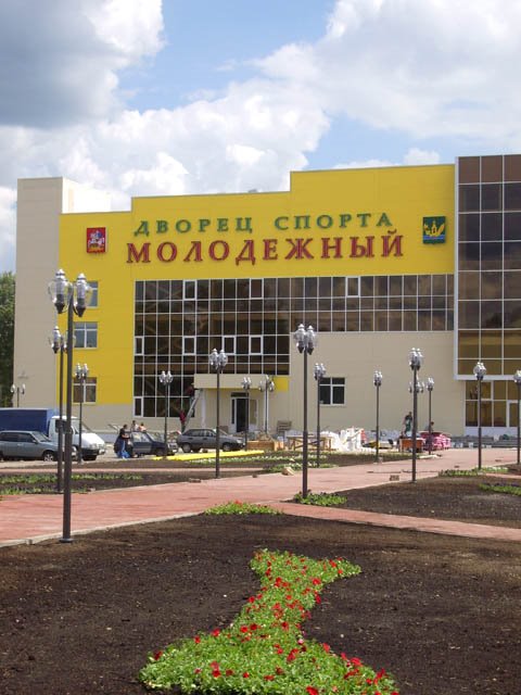 ДСМ