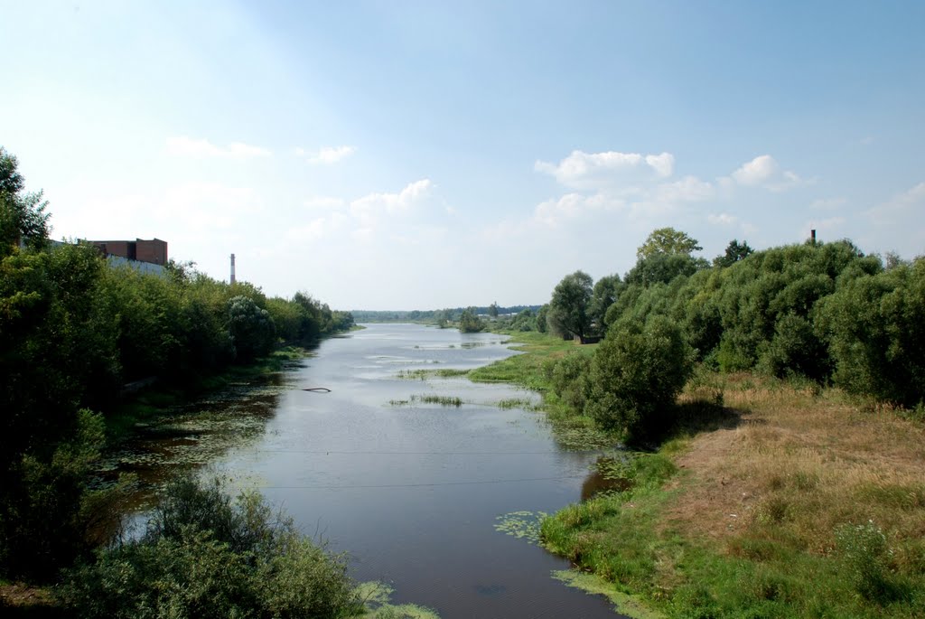 С моста