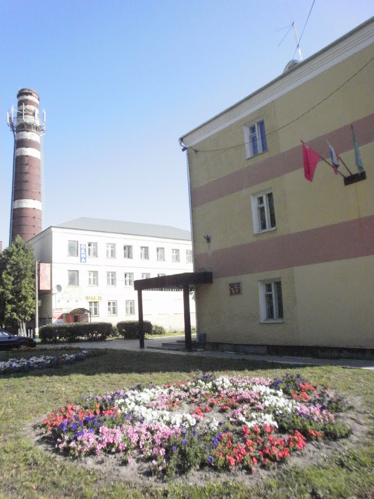 Flowers in the street in Kurovskoye