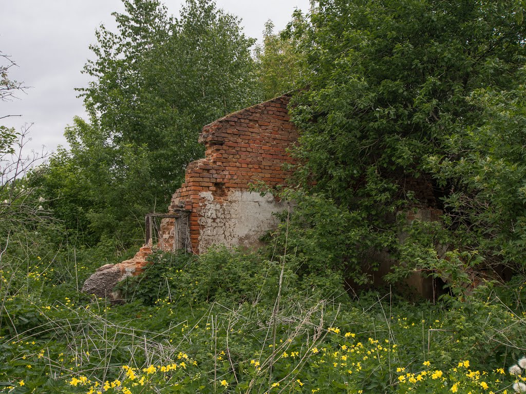 красная стена