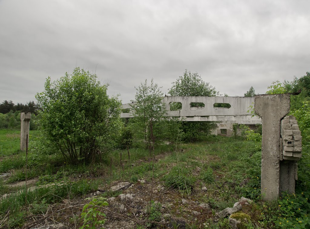 руины 2
