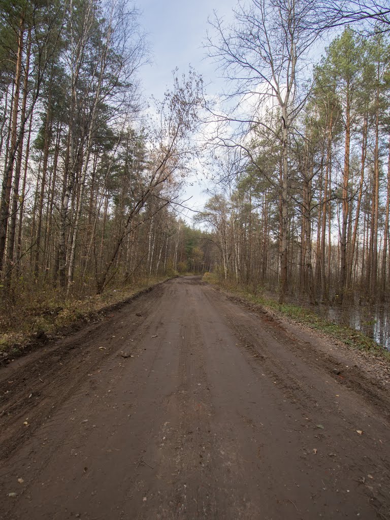облагороженная дорога
