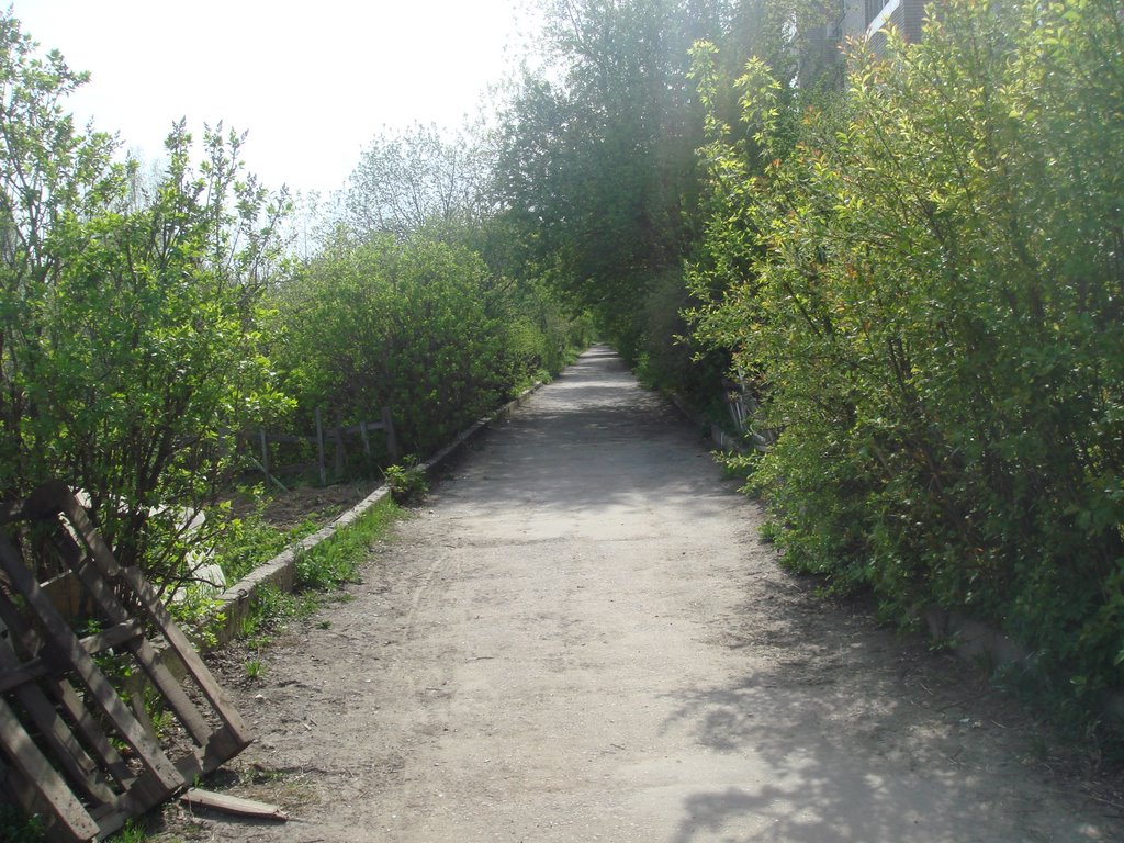Дорожка вдоль дома