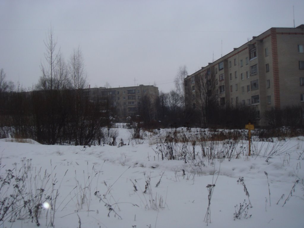 Лесной Городок зимой