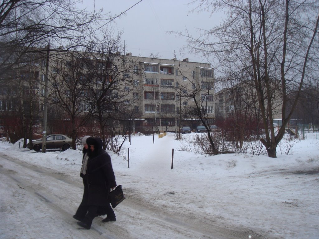 Лесной Городок, зима