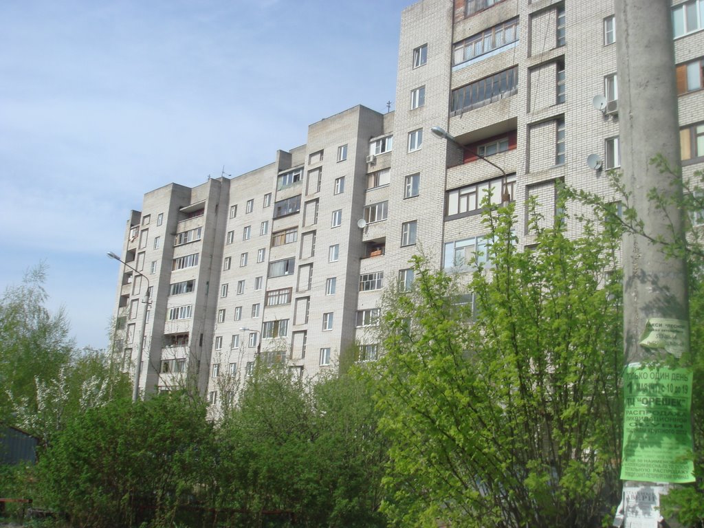 Двор