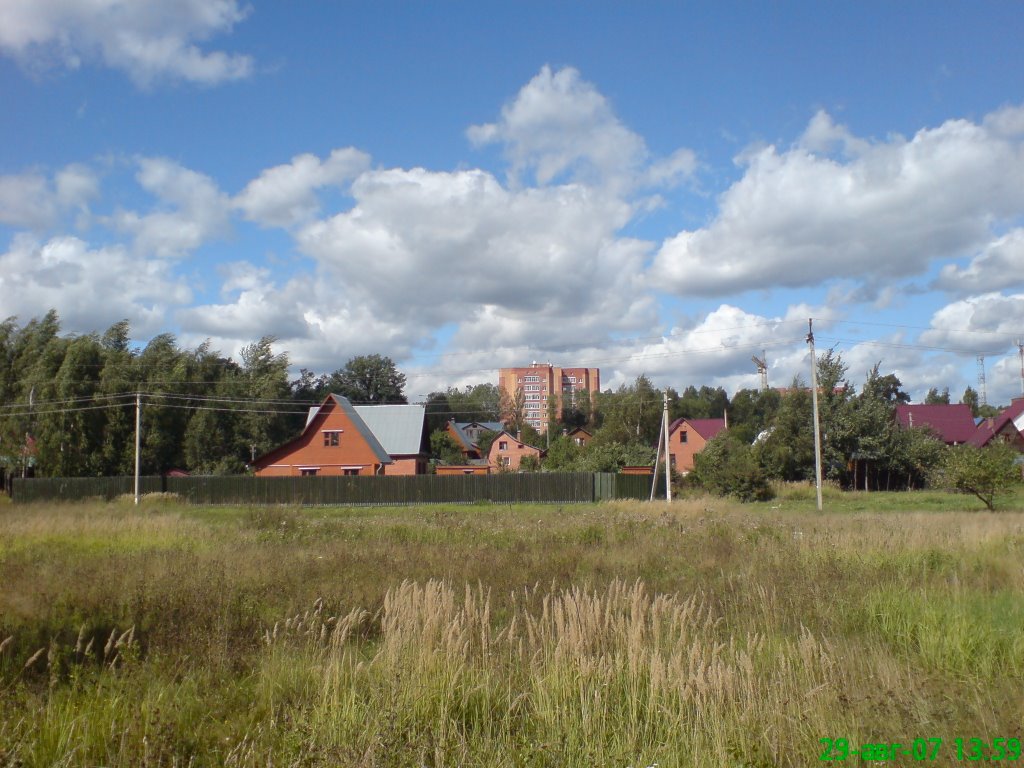 Лесной