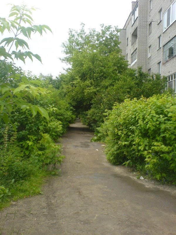 Lesnoy gorodok