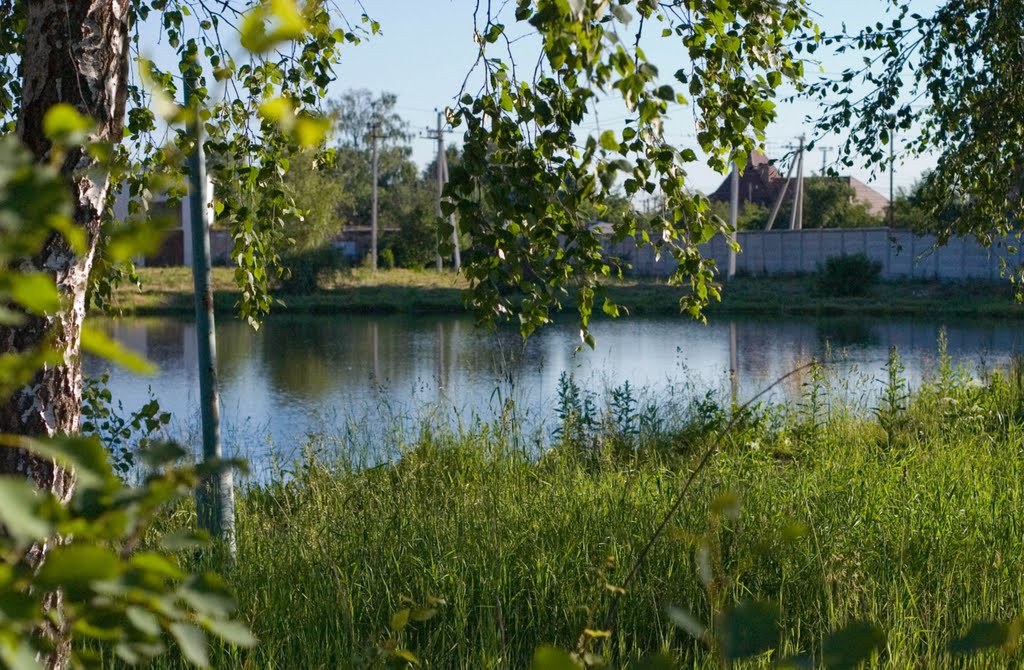 Лесной городок. 2006 г.