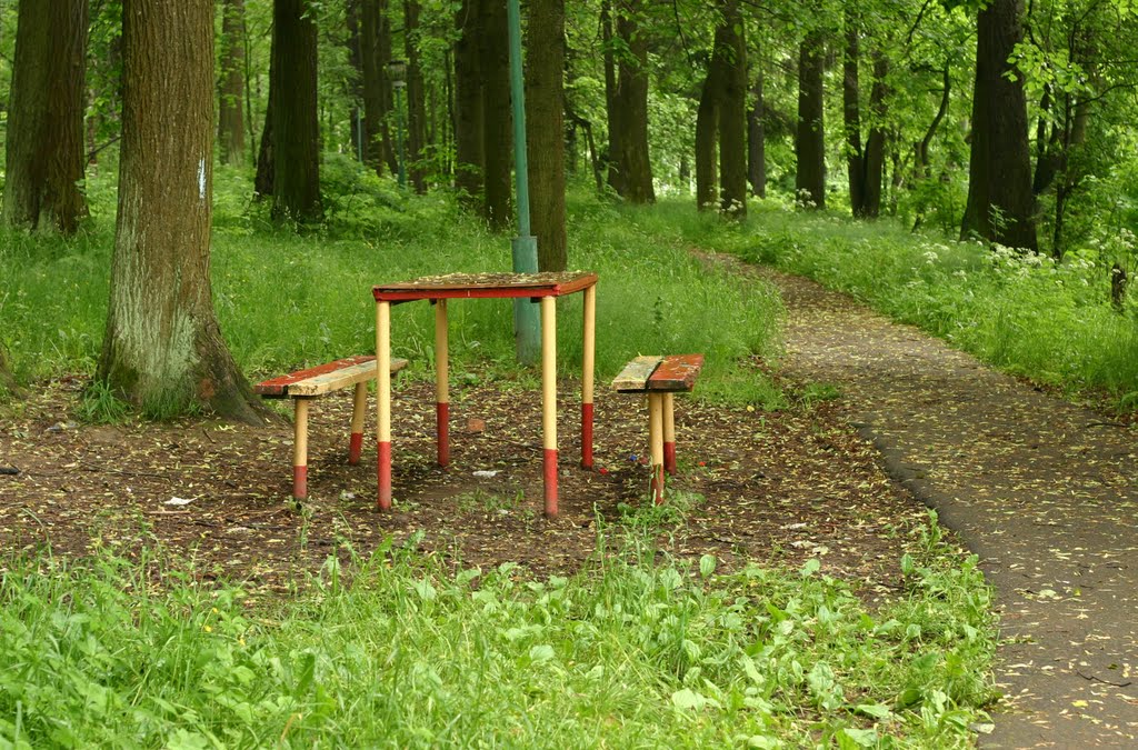 Лесной городок. 2006 г.